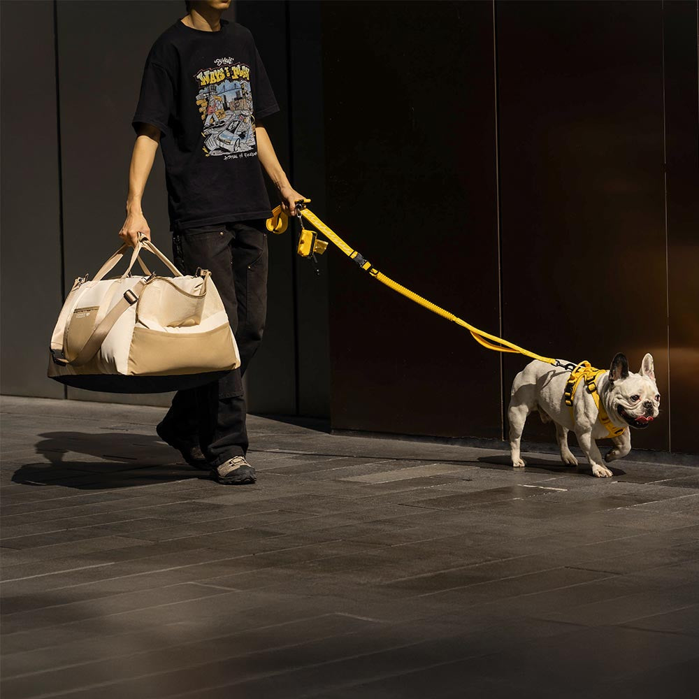 Cozy Waterproof Breathable Dog Booster Car Seat