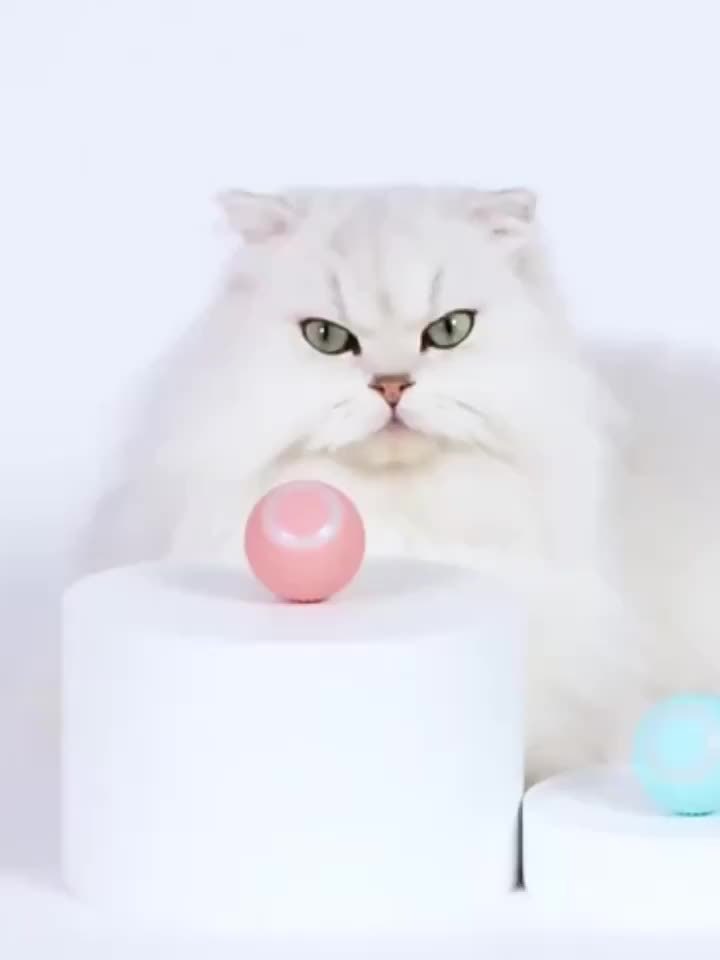 Smart Interactive Cat Toy