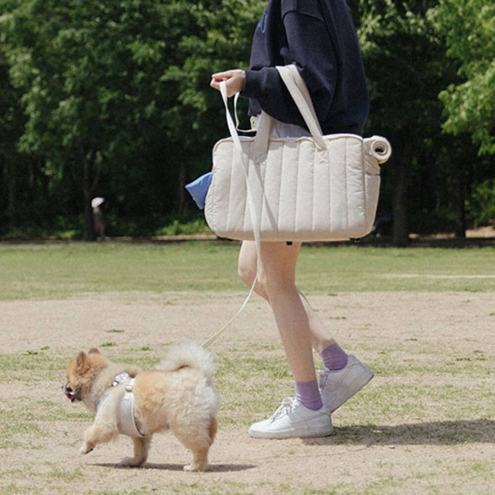 Portable Light Breathable Travel Dog & Cat Carrier Bag