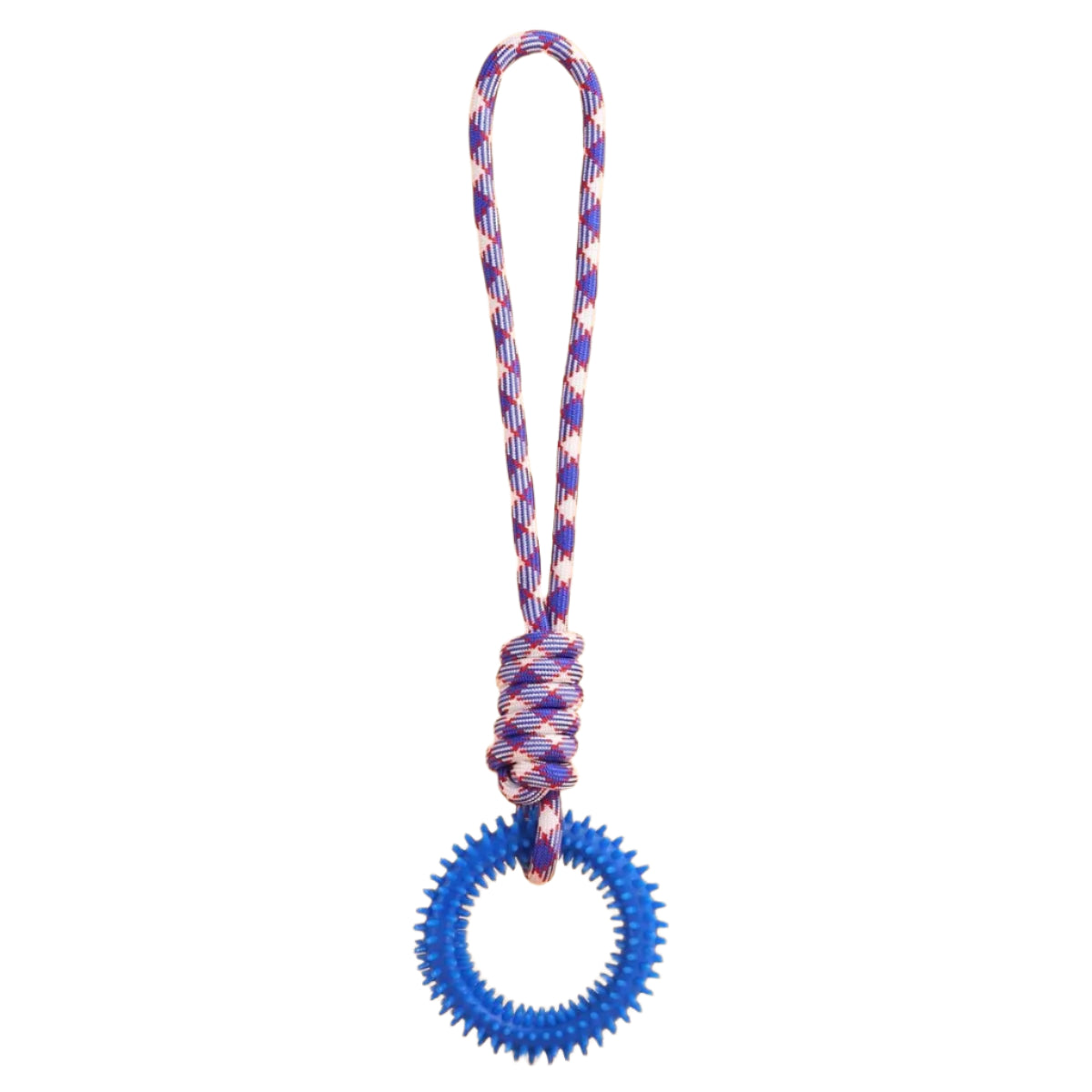 Spiked Ring Pet Toy