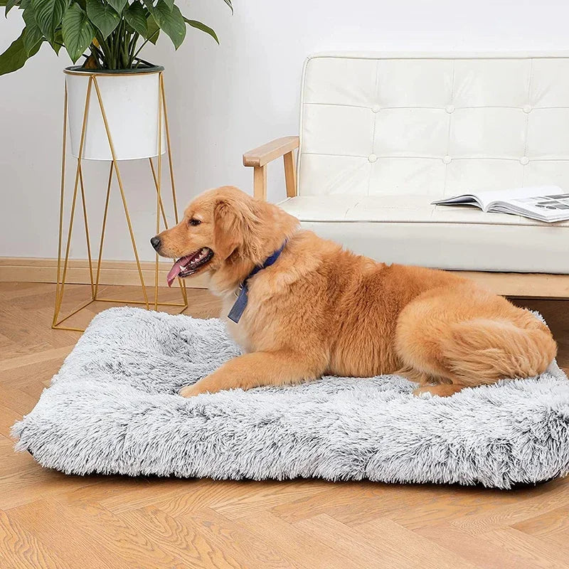 Cushy Plushy Pet Bed