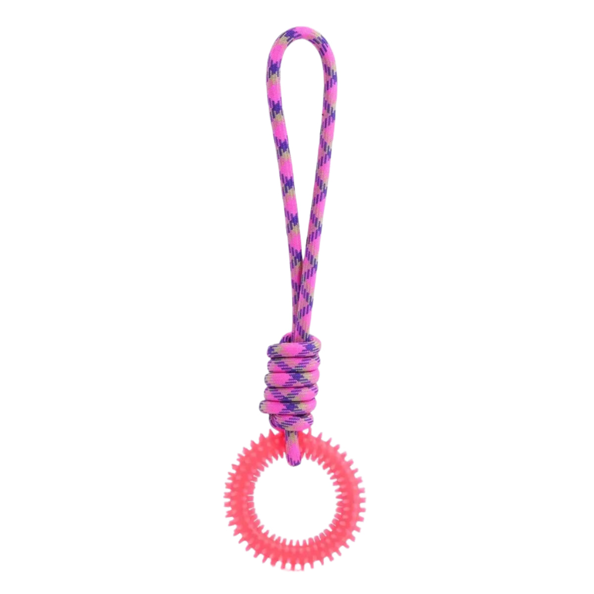 Spiked Ring Pet Toy