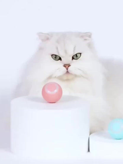 Smart Interactive Cat Toy