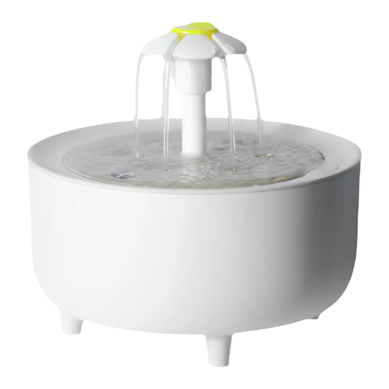 Cat Water Fountain