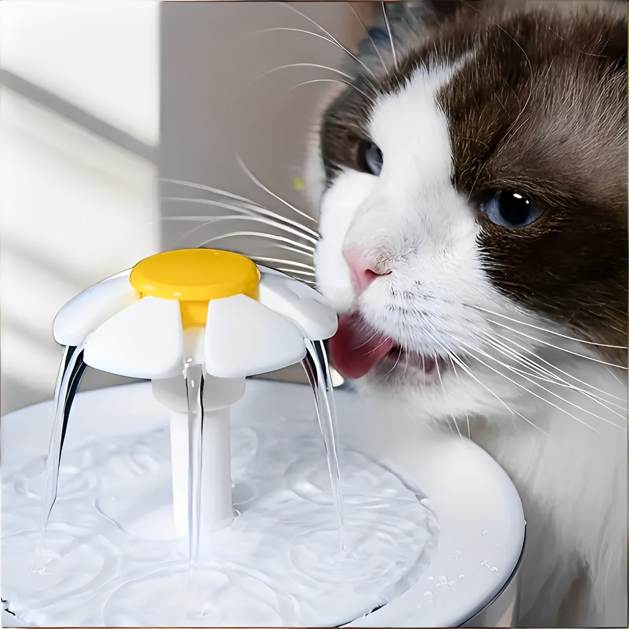 Cat Water Fountain