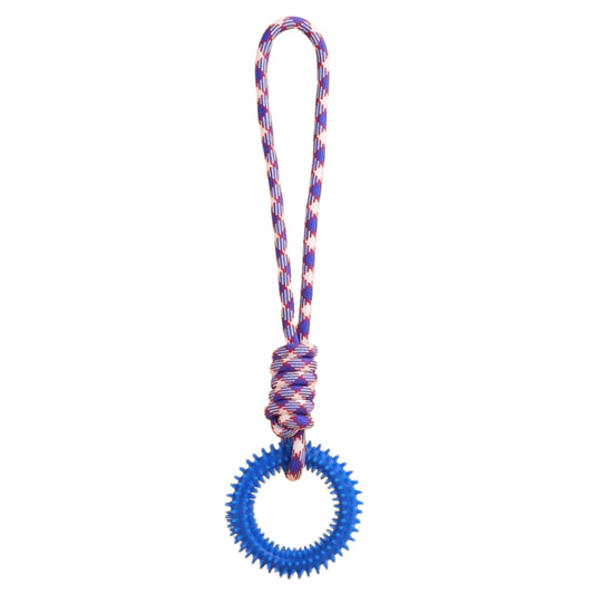 Spiked Ring Pet Toy