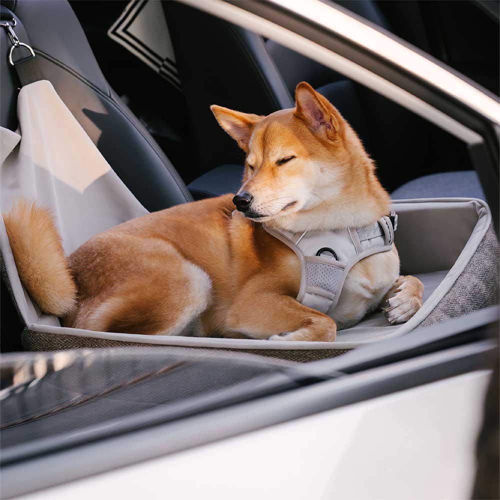Safety Elevated Dog Car Seat Bed